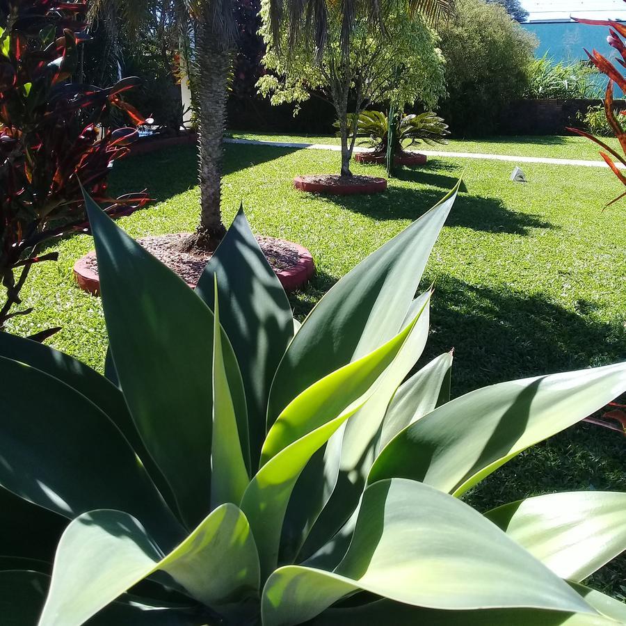 Ecohostel Dos Canyons Santa Catarina プライア・グランデ エクステリア 写真